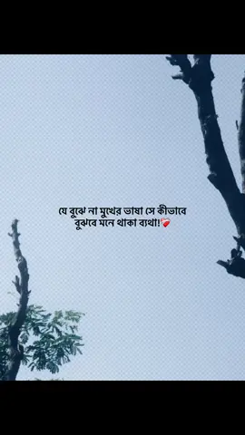 😅💔 #foryou #banglacaption #sadcaption #emotionalvideo #fyp 