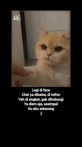 #sekedar_hiburan🌾 #®yn