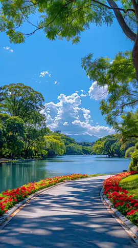 See the World with Gratitude 🌿 #Gratitude #LifeWisdom #PeacefulMind