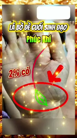 CHỈ TAY CÓ LÁ BỒ ĐỀ CUỐI SINH ĐẠO  #phongthuytamlinh #đườngchitay #simphongthuycaivan @giải mã chỉ tay @giải mã chỉ tay @giải mã chỉ tay 
