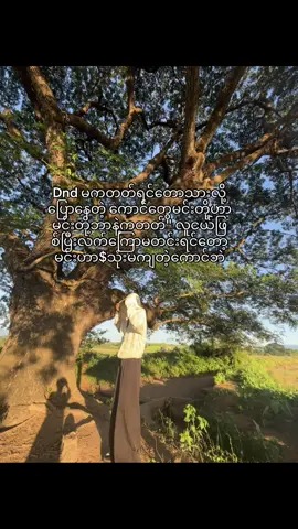 #fypシ゚ #view #vairal_video #KoNyein 