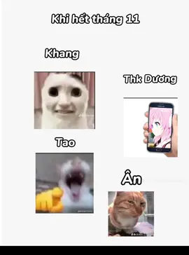 Sau khi hết tháng 11 kiểu🥵#CapCut#xuhuong#meme#memecapcut
