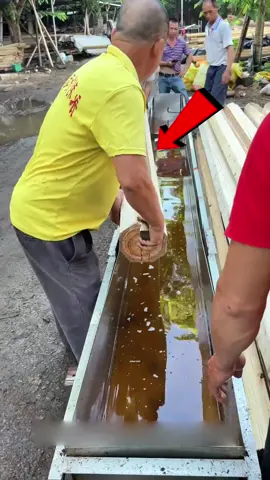 Ini Kenapa Harus Celup Kayu Ke Solar Sebelum Di Pake'?!!