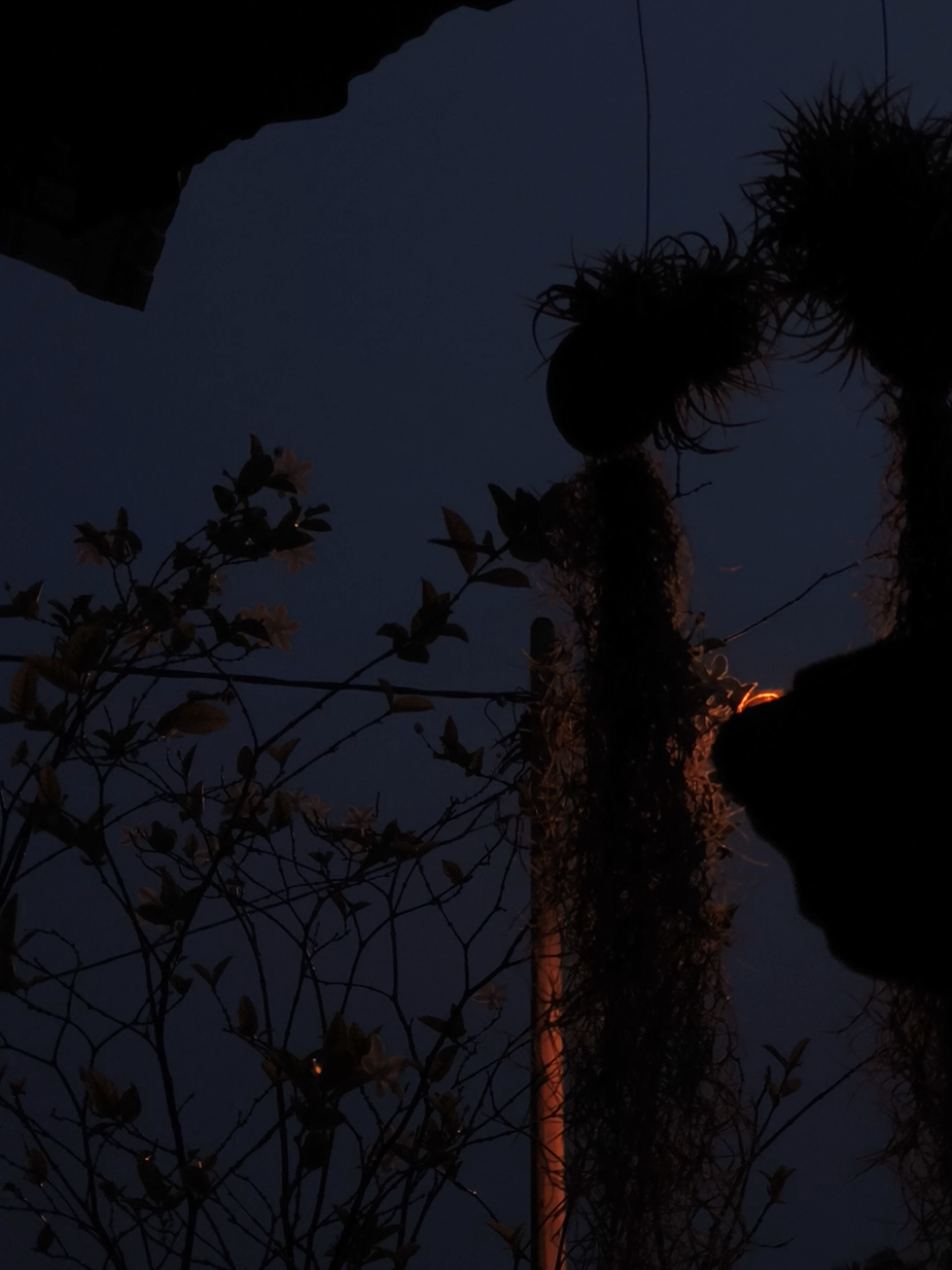 No rain, no flowers...#tamilsong #1millionaudition #viralvideo  #ethanasaami #idlikadaisong 