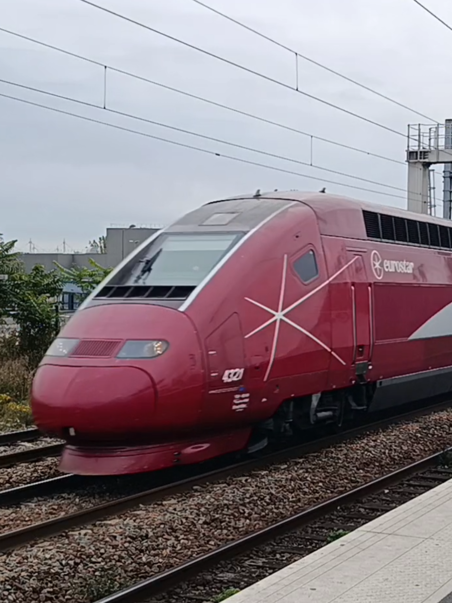 #thalys #eurostar #saintdenis #stadedefrance #bruxelles🇧🇪 un bonheur de spott avec le fréro @les_petits_trains_du_89 