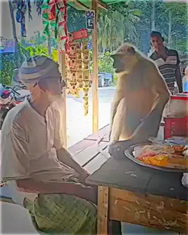 love sar❤️🙏🫡#vepullayoung😥💔🙏 #fypppppppppppppppppppppp #viraltiktok #vpyfツ 