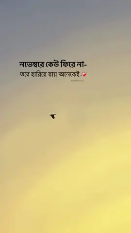 নভেম্বর মাসটা শুধু হয়তো কোন না কোন কিছু নিয়ে যেতে আসে..😅❤️‍🩹#bdtiktokofficial🇧🇩 #foryoupage #foryoupage❤️❤️ #tiktok #fypシ゚viral @TikTok Trends @TikTok 