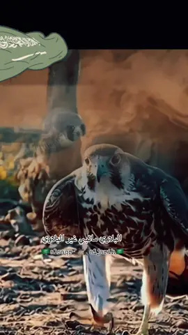 #السعودية🇸🇦⚔️🇸🇦العظمى 