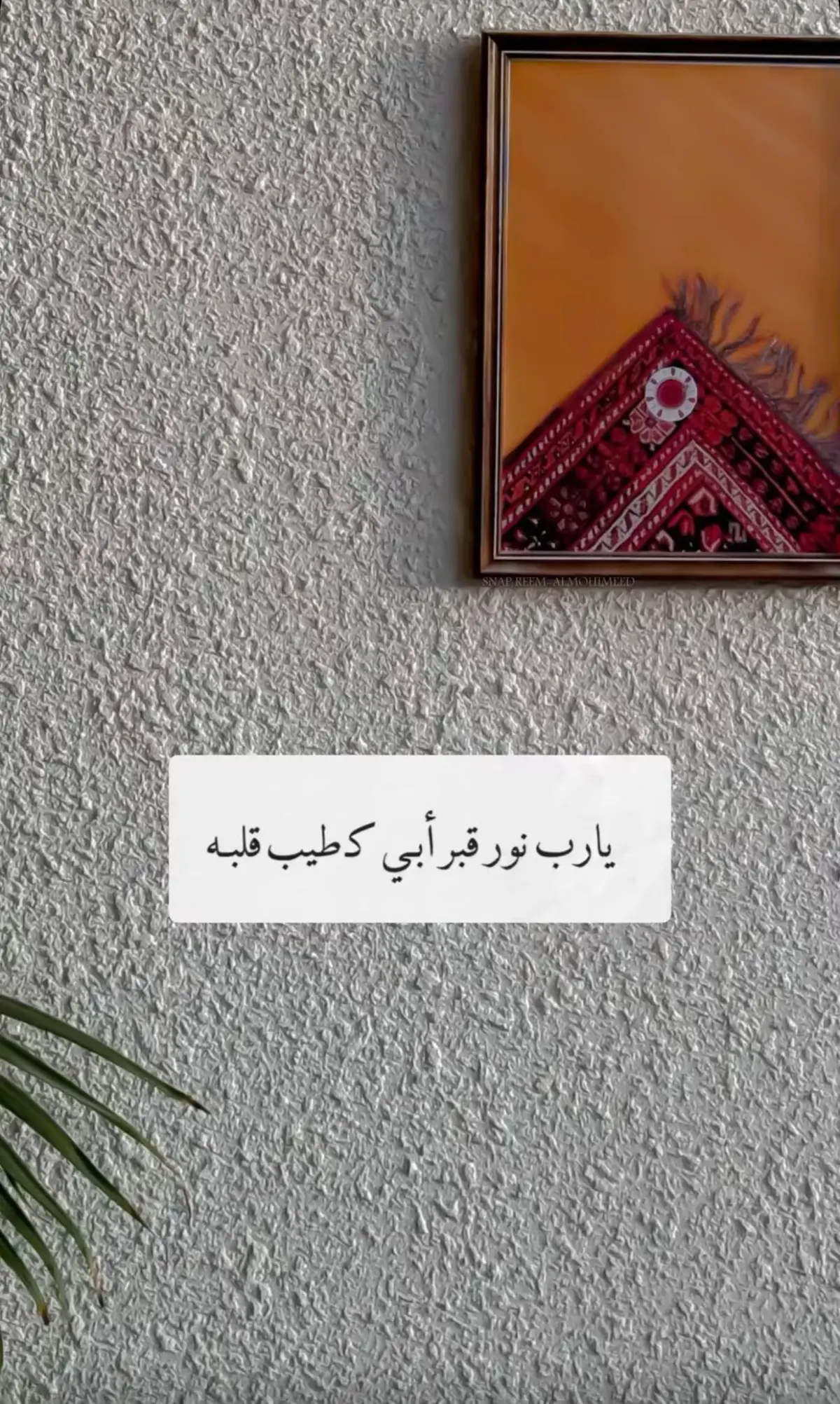 #صدقه_جاريه #اكسبلورexplore #مشاهدات #اللهم_الجنة_لأبي_يارب #مالي_خلق_احط_هاشتاقات 