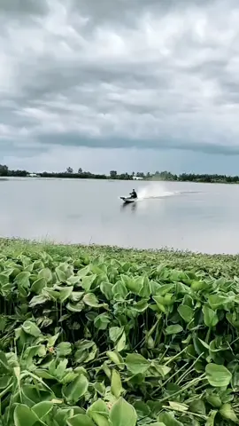 nhắn ai đi về miền đất phương Nam 