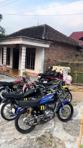 ayem tentrem🥰 #whygank #blayer135cc #rxking #fypシ゚ #rxkingnusantara 