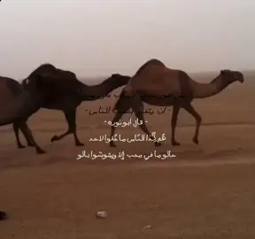 #fyp #explore #comedia #محمد_عبده 