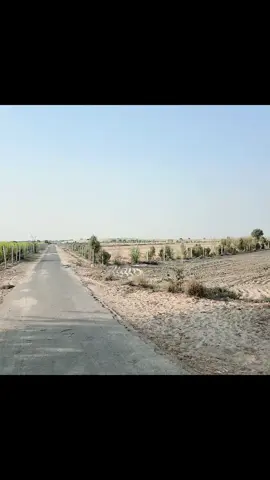 #سنگت_ویڈیو_وائرل_کریسو_آپ_ہیں🥀🌼🙈✨🎇 #foryou #unfrezzmyaccount #foryou 