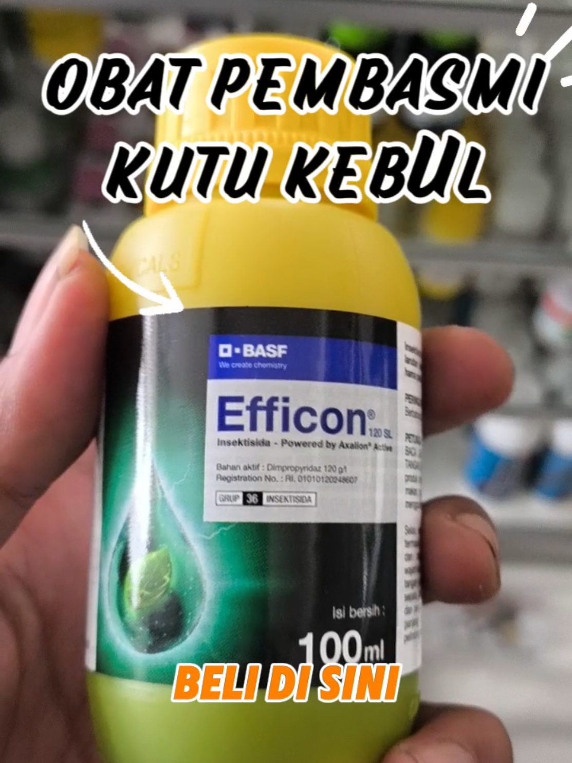 #cabe #petanimilenial #petaniindonesia🇮🇩🇮🇩🇮🇩🌿🌿 #tanaman 