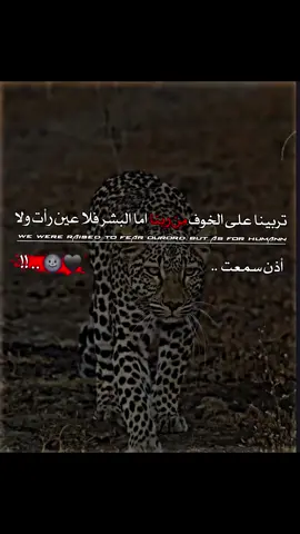 |#عبارات  #ديراوي_♕🖤  #تـصميم_ديراوي🗞🖤 