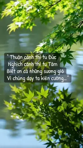 #phatphapnhiemmau #anyen #taman #songtichcuc #songvuimoingay 