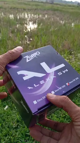 #reelpancing #spinning #zorro 