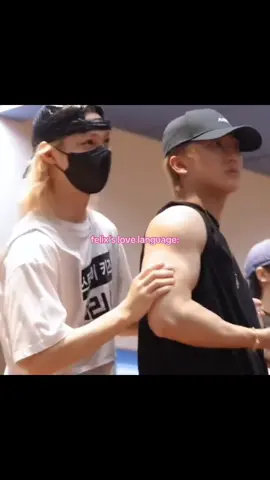 мой тгк: ханнис 0325 метров от вас #феликс #скзстэй #straykids #felix #skzstay 