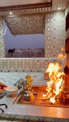 #❤️ #ترند #foryou #explore 