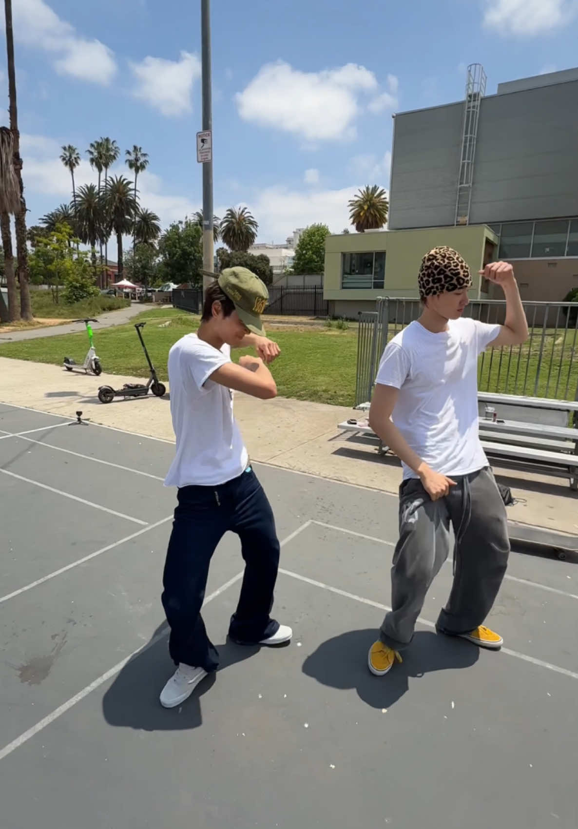 teach me how to..🦅🗣️ #CORTIS #코르티스 