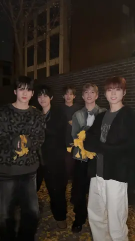 Dazzling🍂 #POW #파우 #Dazzling #GRID #fyp 