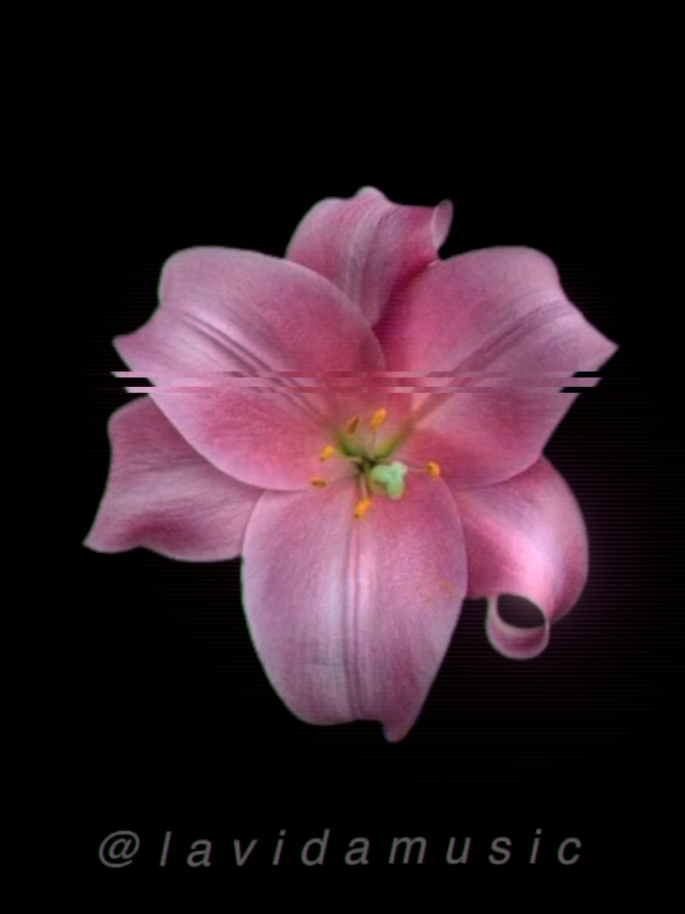 Eres tú #lyrics #songs #music 