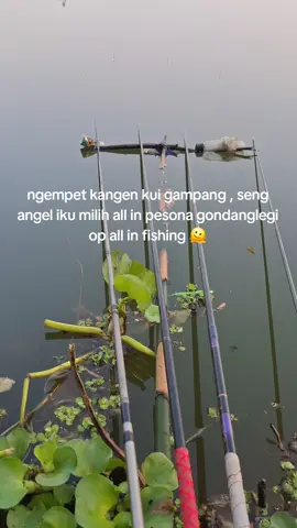 sido e all in op iki  #fyp #pesonagondanglegi #promomakan1111 #lewatberandafyp #malang24jam 