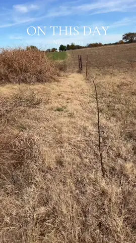 #onthisday 
