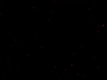 #الشعب_الصيني_ملوش_حل😂😂 #DIY  . #stitch #yyyyyyyyyyyyyyyyy  #fyppppppppppppppppppppppp 