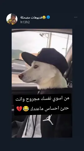 #الشعب_الصيني_ماله_حل😂😂 