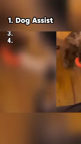 The top 5 magic assist #kevindebruyne #assist #tatianaflores #football #footballtiktok ‎Best assists ‎Kdb assists ‎Top 5 assists ‎Shorts ‎Best kdb assists  ‎Assists ‎Kdb assist  ‎Mirror assist gyatt ‎Assists ‎Assist movement  ‎