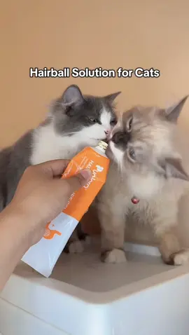 Hairball solution for your cats #puainta #hairball #puaintahairballgel #hairballsolution #catsoftiktok 