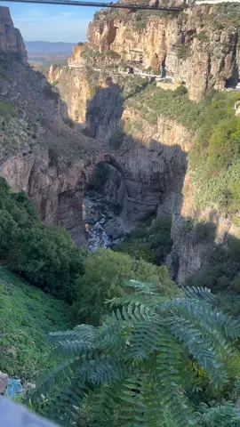 CONSTANTINE ✨#مالوف_قسنطيني #malouf_constantine #قسنطينة_حاجب_و_عوينة #algerie🇩🇿_maroc🇲🇦_tunisie🇹🇳_france🇨🇵 #قسنطينة 