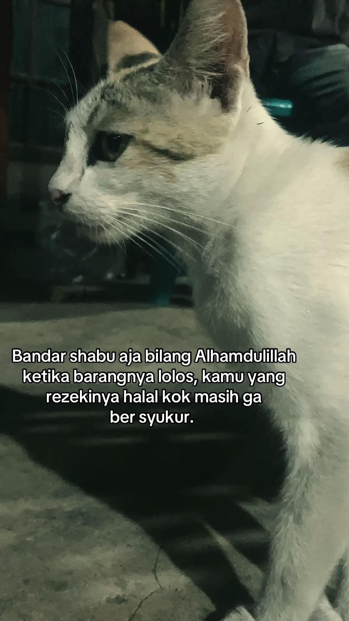 #fyp#katakatarandom#