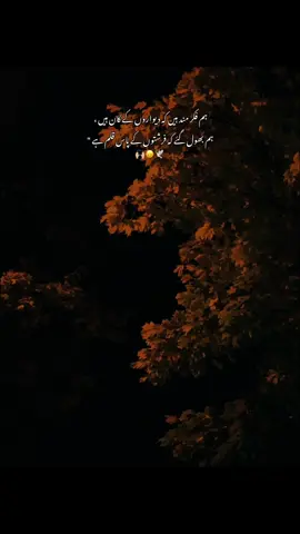 Deep Reality 😩🫂 #asghar_aesthetix #fypppviralllシ #goviral#viewsproblem😭 #unfreezemyacount 