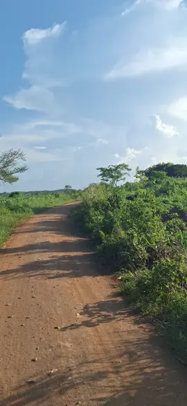 THIS IS THE BEST EXPERIMENT OF LIFE#goviral #viral #foryoupage #foryou #fyppppppppppppppppppppppp 