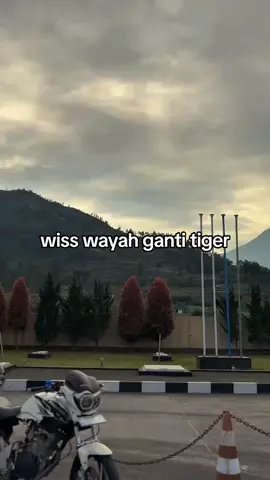 ndang login #fyp #masukberanda #tigergank #atmojo 