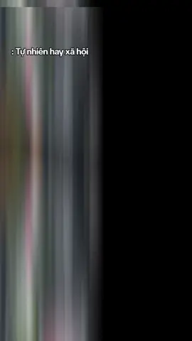 Khối tự nhiên hay xã hội? #khoitunhien #khoixahoi #yeutoanghetvan #ilovet #xuhuong 