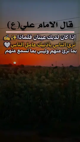 #اقوال_وحكم_الامام_علي_عليه_الاسلام #اقوال_الامام_علي_عليه_السلام #مقولات_الامام_علي #اكسبلورexplore #اكسبلور 