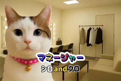 シロとクロのおもしろコント第22弾！　　⚠️吹き出しに気をつけてねー😹　　#猫 #猫のいる暮らし #猫おもしろ動画 #猫好きさんと繋がりたい 