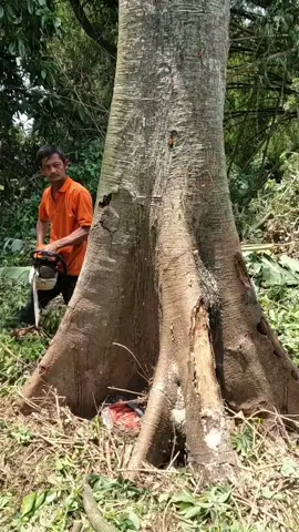 allah sy toba#viral_video #foryoupage #foryou 