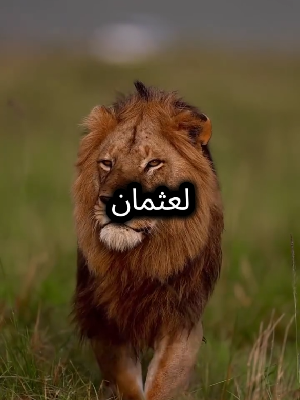 أعظم ما قيل في الغيرة هما ل إثنان لا ثالث لهما  #عباراتكم_الفخمه📿📌 #عبارات #خواطر #اقتباسات_عبارات_خواطر #كلمات 