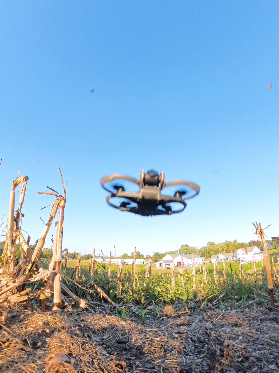 day 9 DJI Avata 2 scream 😱  #fpvdrone #drone #dji #djiavata2