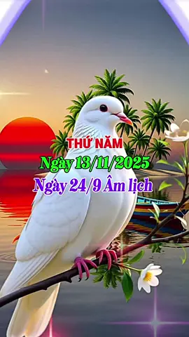 Chào Ngày Mới #ngaymoivuive 