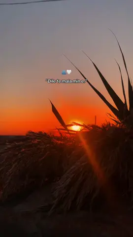 “Dile te mala mîn e.” 🫂🤍 #siyahaasik1kadin #kürtçeşarkılar #lıqamışlo #dile #storytime 