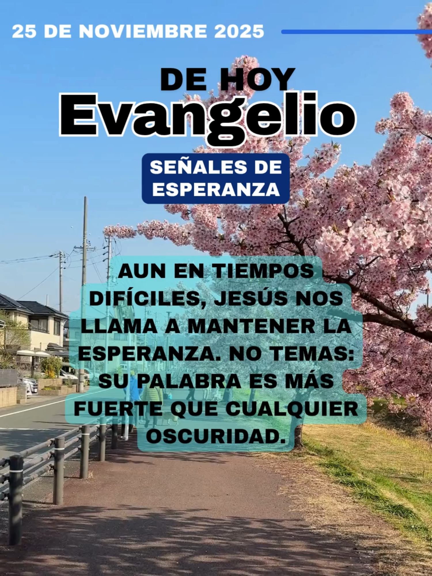 #EvangeliodeHOy #evangeliodehoy #evageliodehoy #catolicosporamor #sigueme #catolicosoy♥️