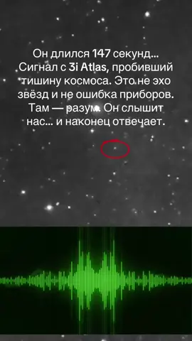 147 секунд тишина Вселенной была нарушена. Из глубин космоса, с объекта 3i Atlas, пришёл сигнал. Не случайный, не хаотичный — чёткий, ритмичный, осмысленный. Учёные подтвердили: это не природное явление. Там, за миллиардами километров, кто-то слышит наши радиопередачи. И самое поразительное — он отвечает. Разум по ту сторону пустоты… впервые дал о себе знать. 3i Atlas — это не просто координата в небе. Это дверь. И, возможно, кто-то только что приоткрыл её. #3iatlas #interstellar #31ATLAS 
