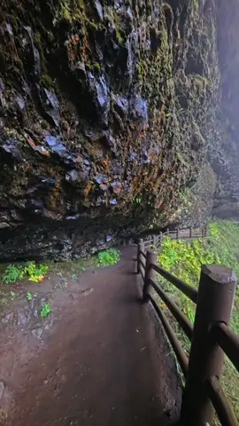 Another waterfall from Silver Falls, the trail of 10 Falls! #fyp #fypシ #pnw #waterfallwednesday #Hiking 