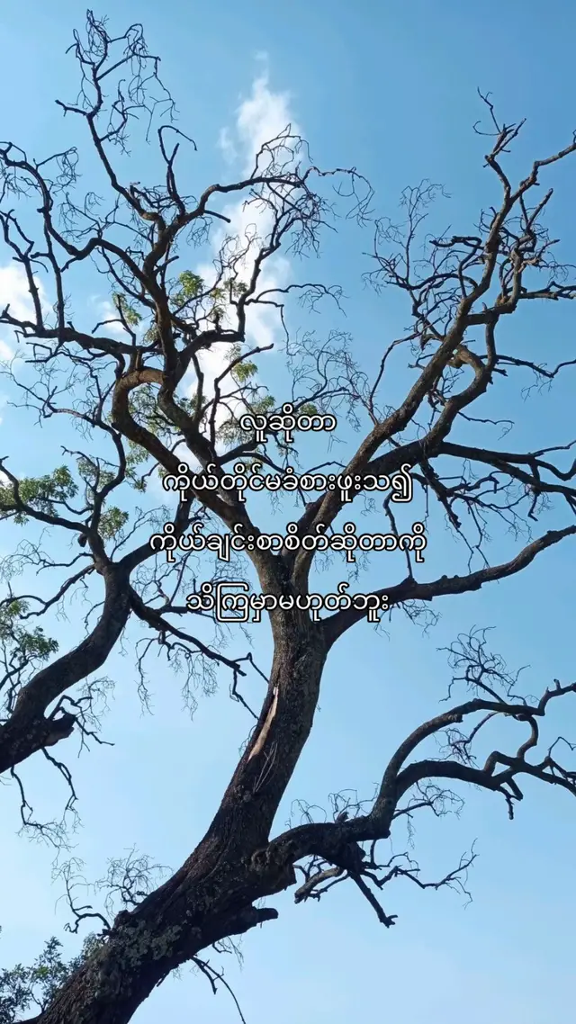 #fypviralシ #fyp #crdtotheowner 