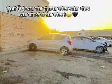 পুরো বিশ্ব হেরে যায় গরমের কাছে আর  গরম হেরে যায় প্রবাসীর কাছে !😅🖤#foryou #viralvideo 